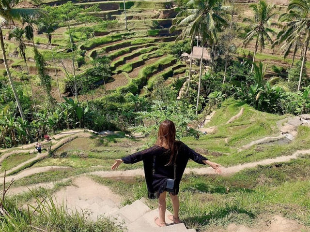 A spectacular view of the green Tegalalang rice terrace💚