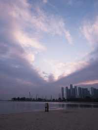 冬季限定：深圳后海公園的紫花風玲木 