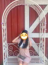 December Garden at Pyin Oo Lwin 