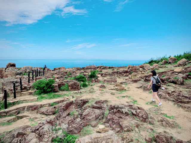 【和歌山日帰旅行】朝から晩まで満喫する弾丸トラベル