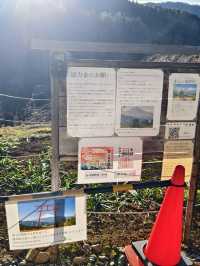 富士遙拜所，可以同時拍到鳥居及富士山