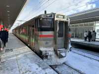 🎫連続7日間使用可能普通列車乗り放題🎫『北海道&東日本パス』