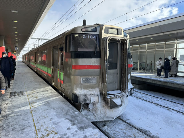 🎫連続7日間使用可能普通列車乗り放題🎫『北海道&東日本パス』
