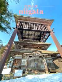 【新潟×初春の旅】  日本のミケランジェロ  彫刻に圧巻！