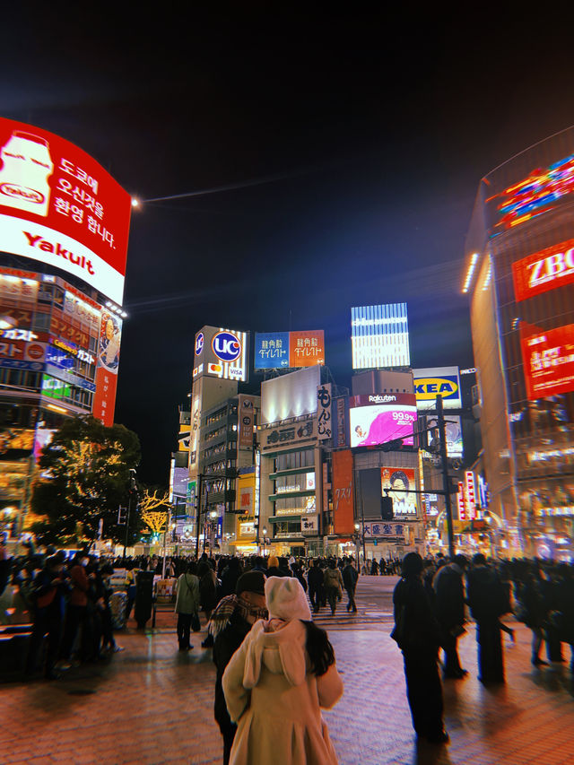 Tokyo 2025 from a season visitor 🗼🇯🇵