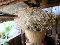 ม่อนซ่อนแก้ว