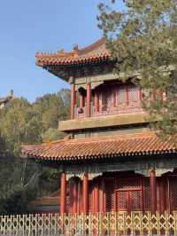 Jinshan Park🌳🏰