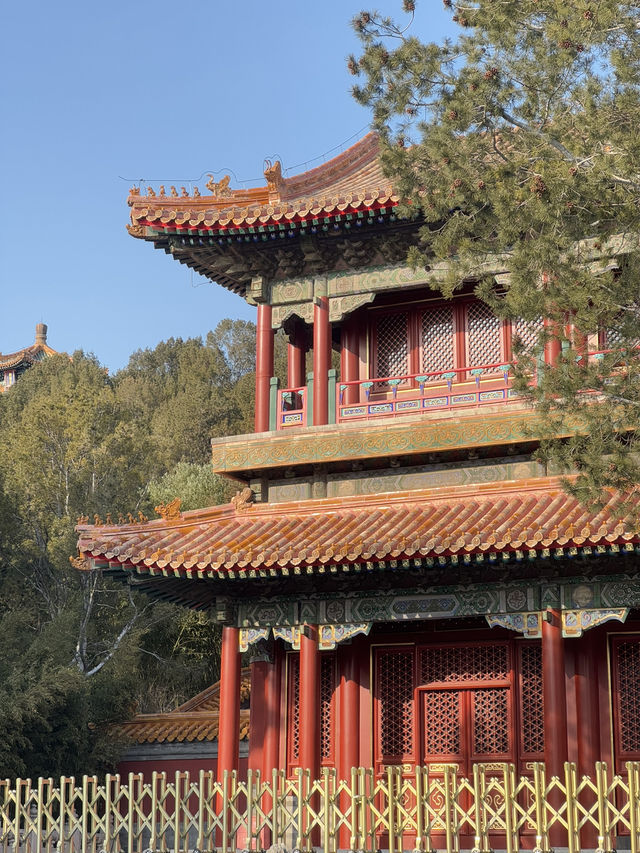 Jinshan Park🌳🏰