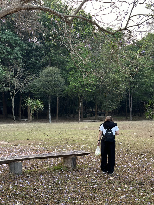 แชร์แพลนเที่ยวขอนแก่น 4 วัน 3 คืน (DAY2)
