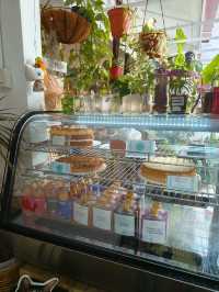 Finding Peace in a Hidden Green Cafe