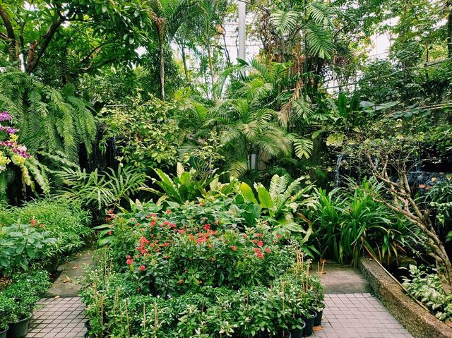 泰國曼谷特色博物館景點:曼谷蝴蝶館。免費參觀，適合打卡拍照📸親子遊