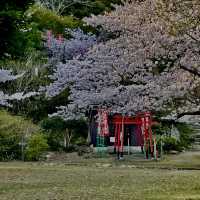 Sakoshi town will definitely blow your mind