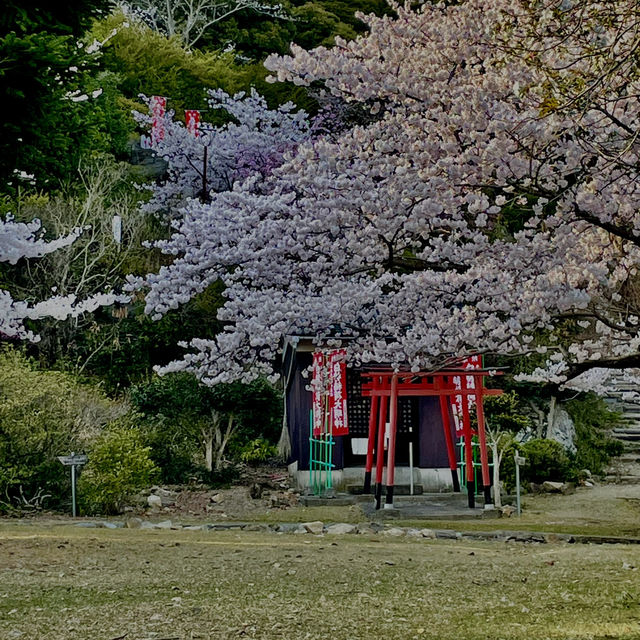 Sakoshi town will definitely blow your mind
