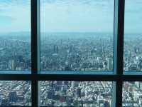Wind in Your Hair, City Below: Taipei 101’s Outdoor Observatory