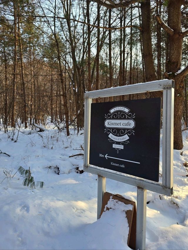 평창에 눈이 오면 꼭 가야할곳❄️🤍