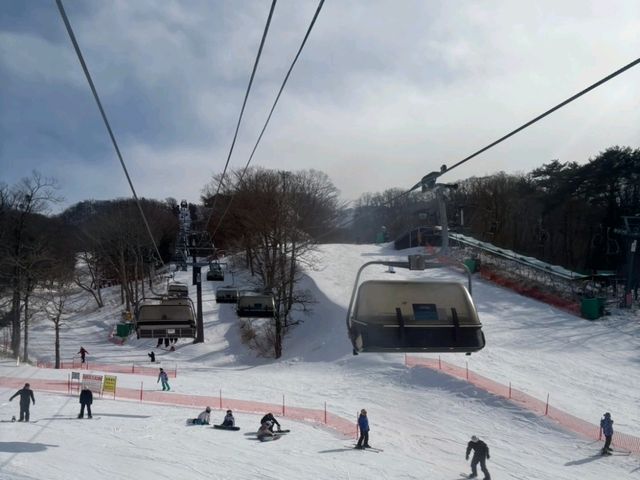 軽井沢でスキーするならプリンスホテル⛷️