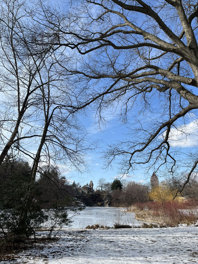 紐約中央公園