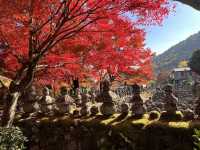 A Symphony of Colors – The Lonely Souls in the Adashino Nenbutsu-ji Temple