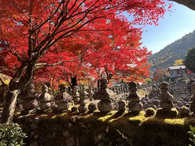 A Symphony of Colors – The Lonely Souls in the Adashino Nenbutsu-ji Temple