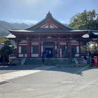 Deer-ly Loved Miyajima: A Day Trip to Remember! 