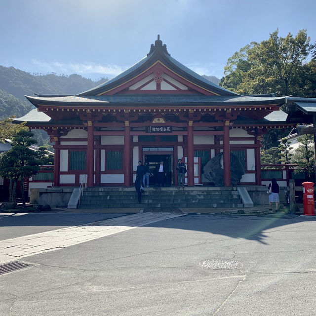 Deer-ly Loved Miyajima: A Day Trip to Remember! 