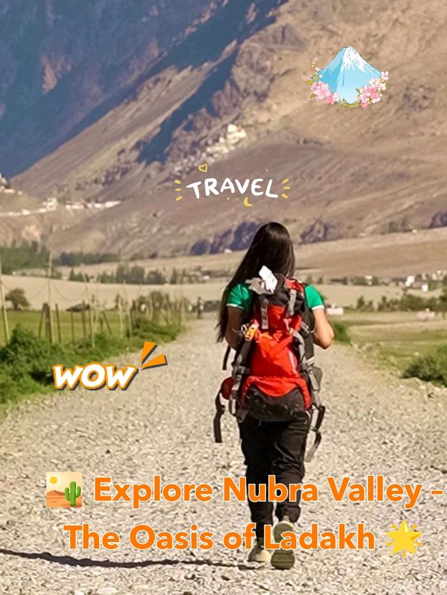 🏜️ Solo Trip:Explore Nubra Valley – The Oasis of Ladakh 🌟