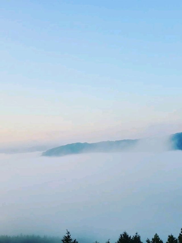 朝焼けと雲海