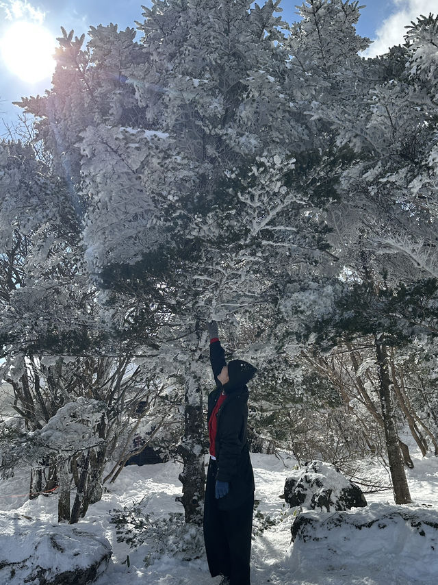 겨울 제주! 1100 프로로 즐기기!!
