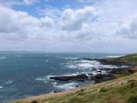 墨尔本The Nobbies 和 churchill island 非去不可