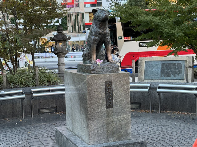 東京澀谷一日遊，感受活力與驚喜