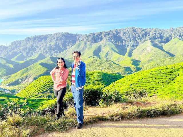 Cameron Valley Tea
