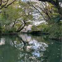 Yanagawa River Cruise