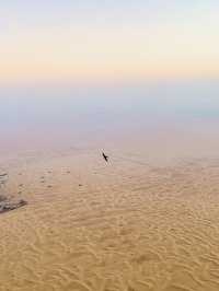 “Soar Above Dubai: Hot Air Balloon Adventure with Majestic Falcon Show”