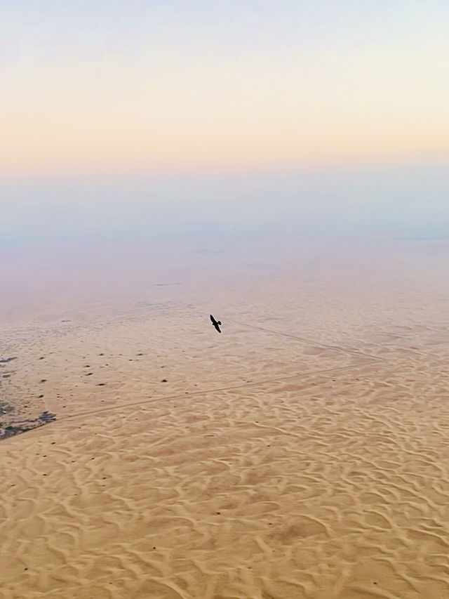 “Soar Above Dubai: Hot Air Balloon Adventure with Majestic Falcon Show”
