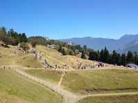 A Slice of Swiss Paradise in Nantou: Qingjing Farm