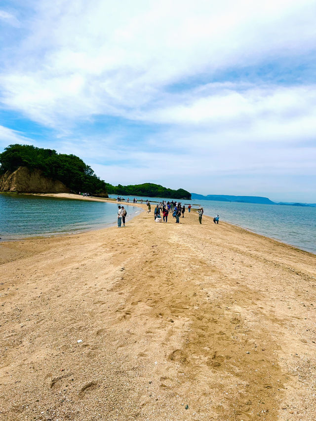 潮が引くたび、奇跡の道が現れる⛅✨