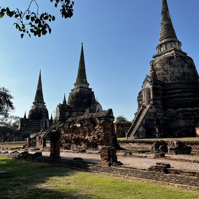 タイ旅行🇹🇭アユタヤ遺跡と像乗り体験