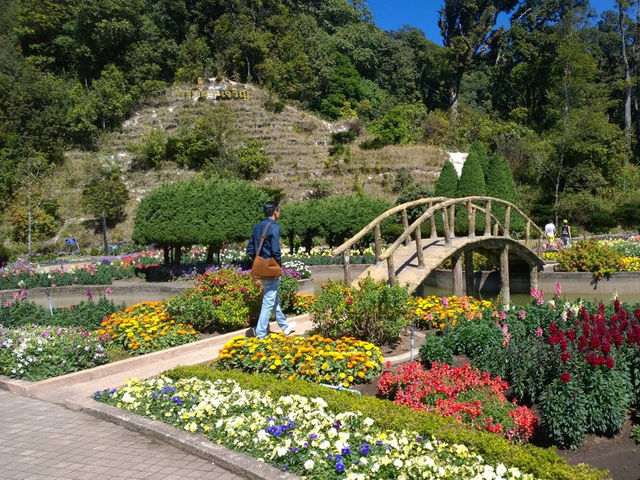 Discover the Serenity of Doi Inthanon