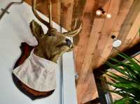 Trendy Italian Eatery & Cafe – YOU KNOW WHAT