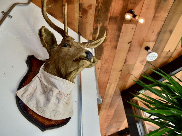 Trendy Italian Eatery & Cafe – YOU KNOW WHAT