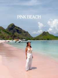 6 DESTINATIONS IN 1 DAY: LABUAN BAJO DAY TOUR 🇮🇩