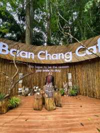 Baan Chang cafe - บ้านช้างคาเฟ่ กระบี่ 