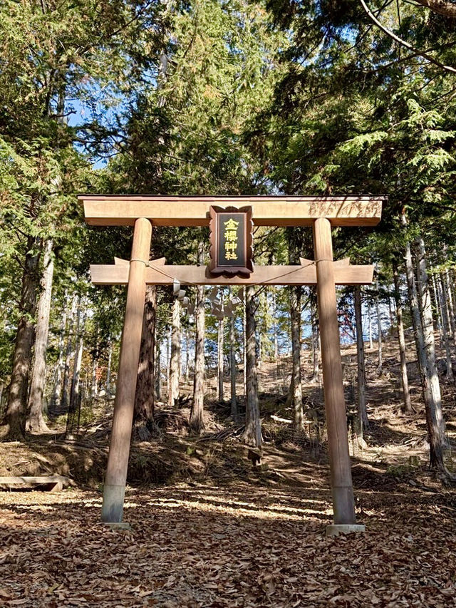 【山梨県】金峰山と富士山の遥拝所
