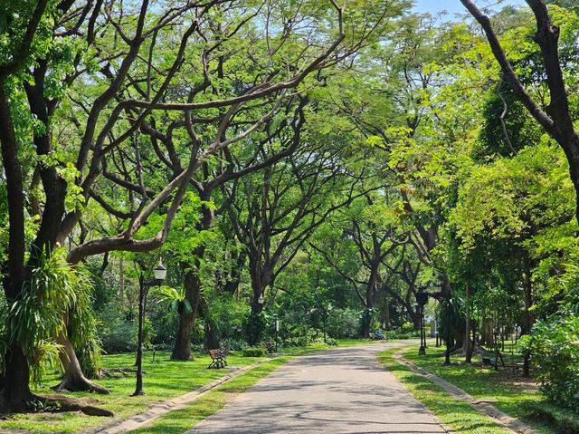ฤดูใบไม้ผลิ สวนสมเด็จพระนางเจ้าสิริกิติ์