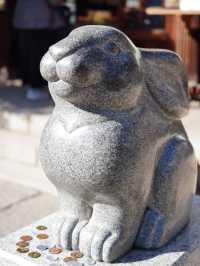【名古屋×三輪神社】うさぎで有名な神社