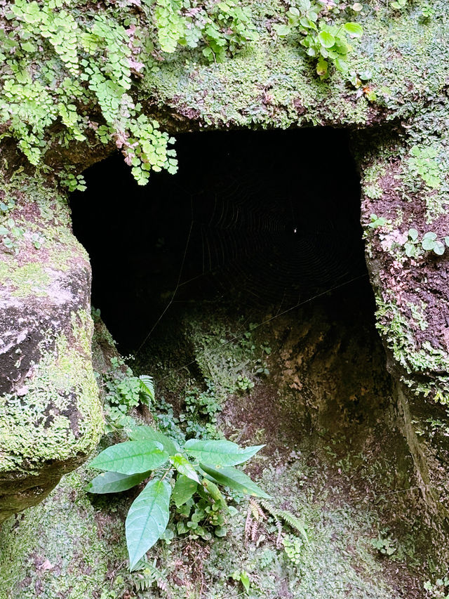  【神奈川県　北鎌倉の円覚寺でメディテーションと芥川文学の世界観に浸るひと時】