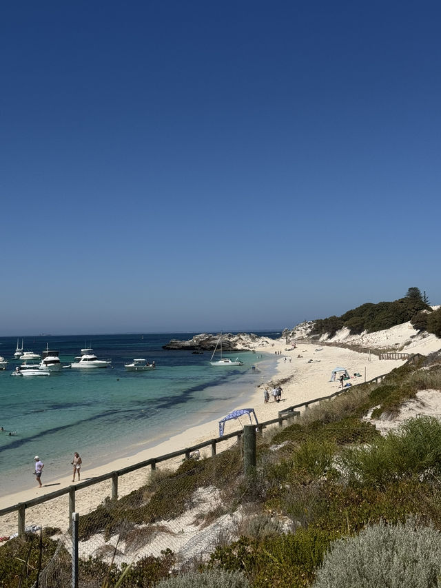 Lost in Summer Paradise of Longreach Bay Guide, Rottnest Island