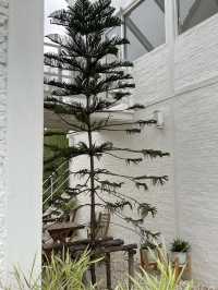 White Brick Yard คาเฟ่สีขาวมินิมอล