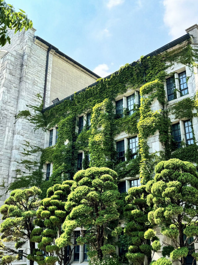 A Charming Visit to Ewha Womans University, Seoul