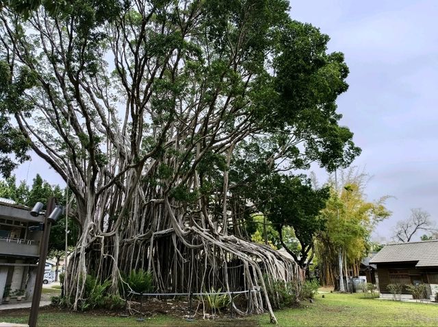 台中景點-國家漫畫博物館
